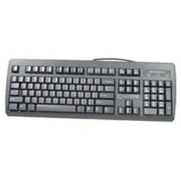 APC-Keyboard, Keyboard – PS/2